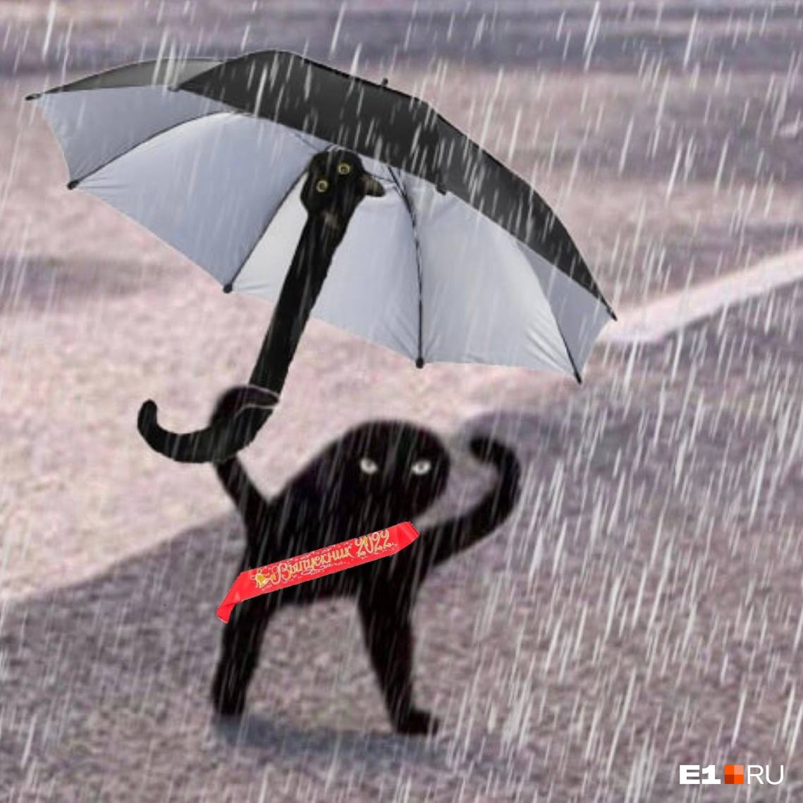 Мемы про зонт