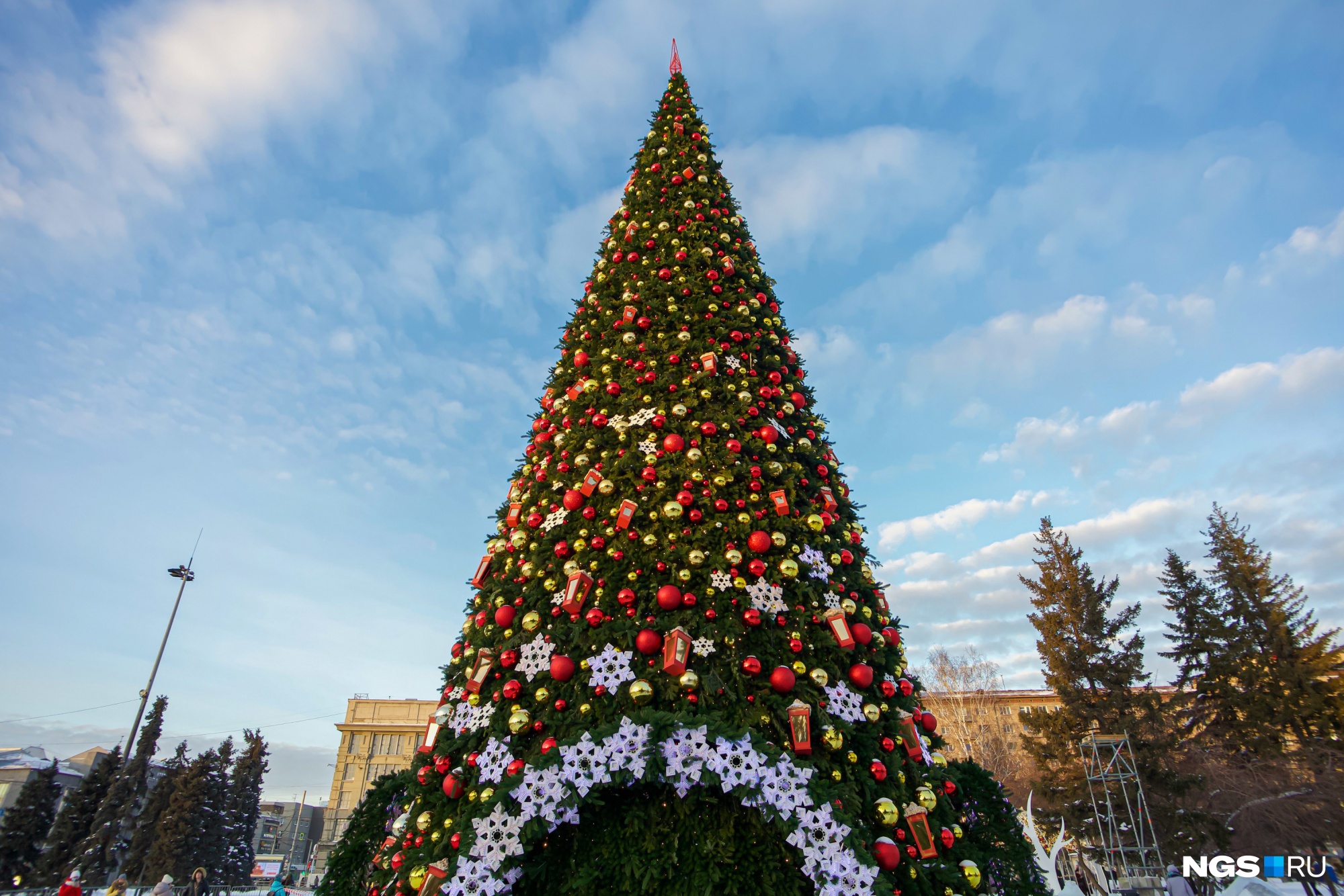 Новосибирская елка 2021