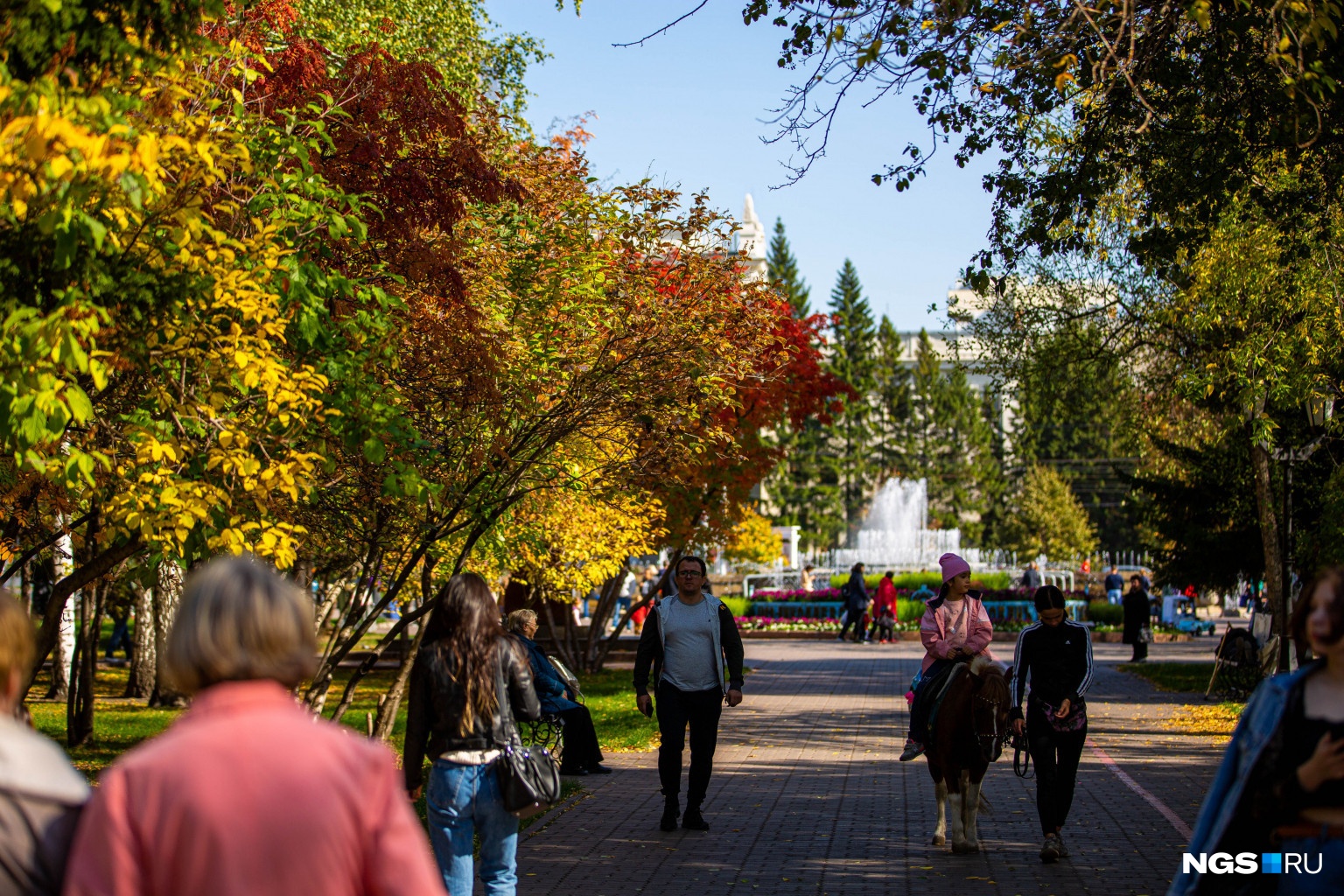 Осень в Новосибирске Первомайский сквер