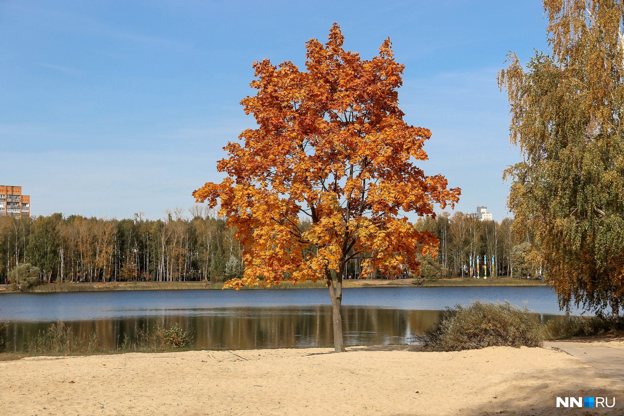Осень в Нижегородской области