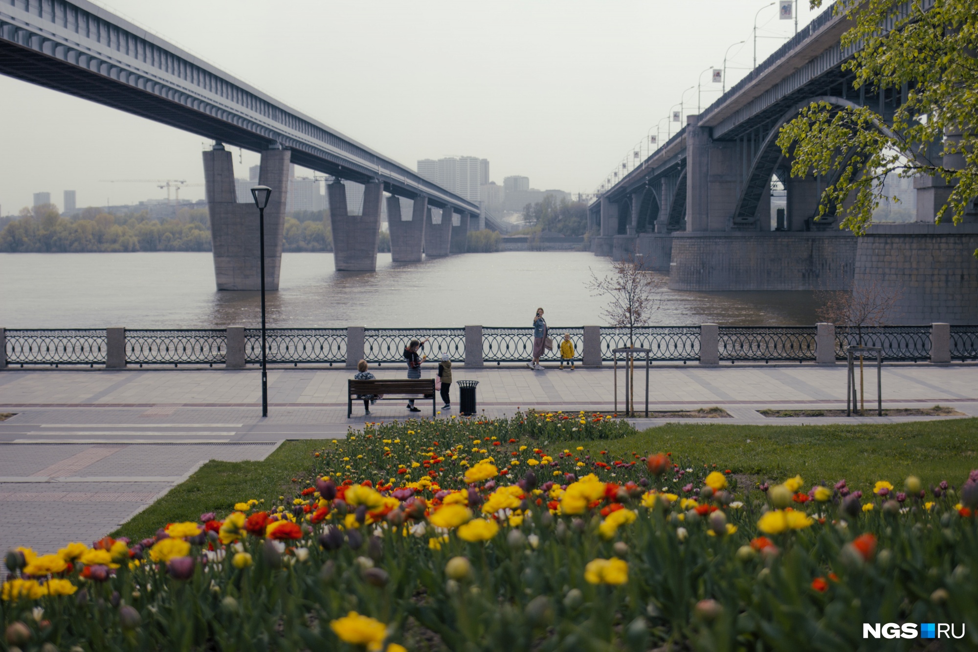 Новосибирск весной фото города