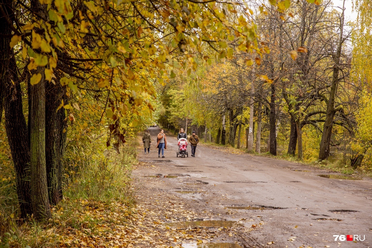 павловский парк ярославль