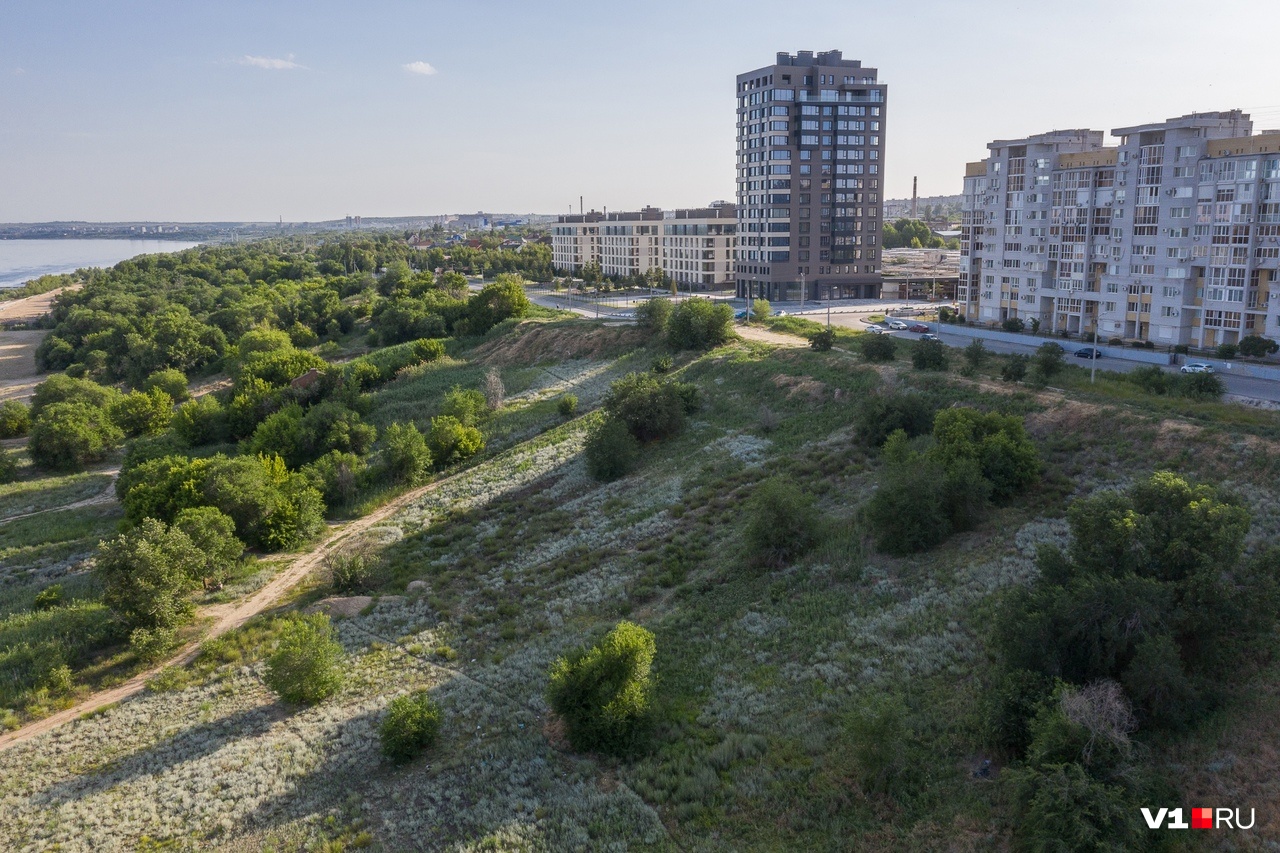 пицца тулака волгоград фото 87