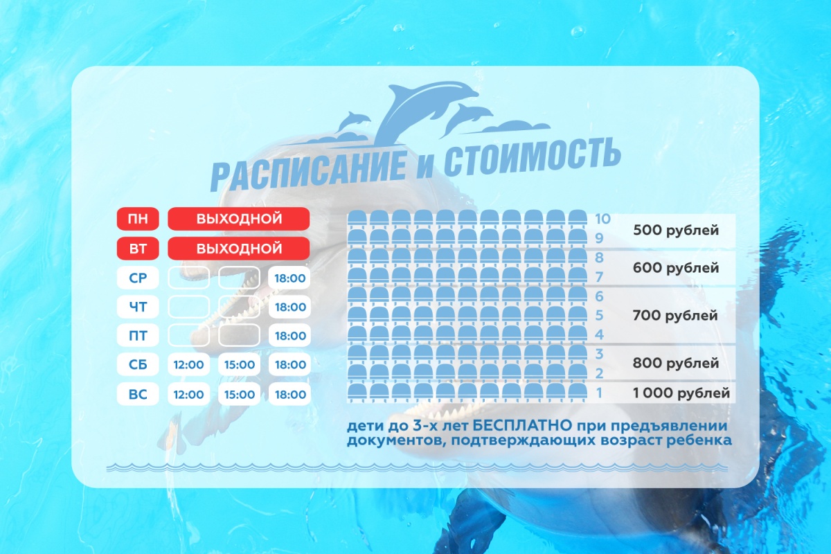 Сколько стоят билеты в дельфинарий в челябинске 2018 Сколько стоят билеты в дельфинарий в челябинске 2018