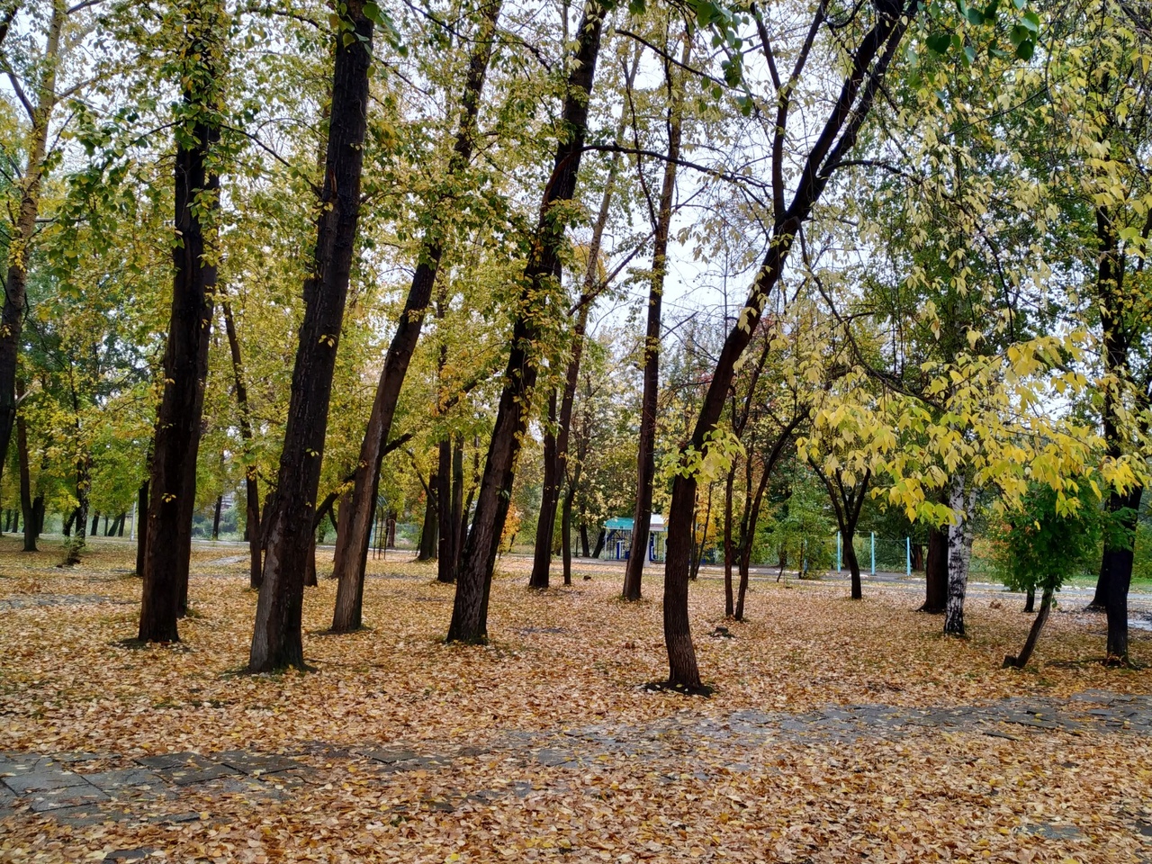 осенний курган фото