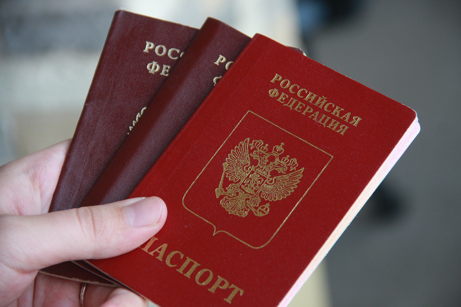 Как сделать быстро загранпаспорт в СПб 79 Как сделать быстро загранпаспорт в СПб 11