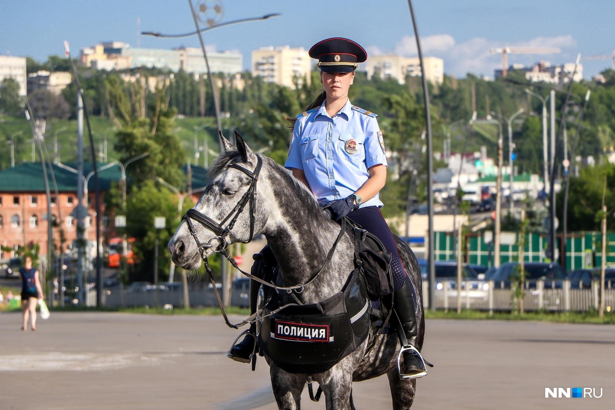 конная полиция в москве