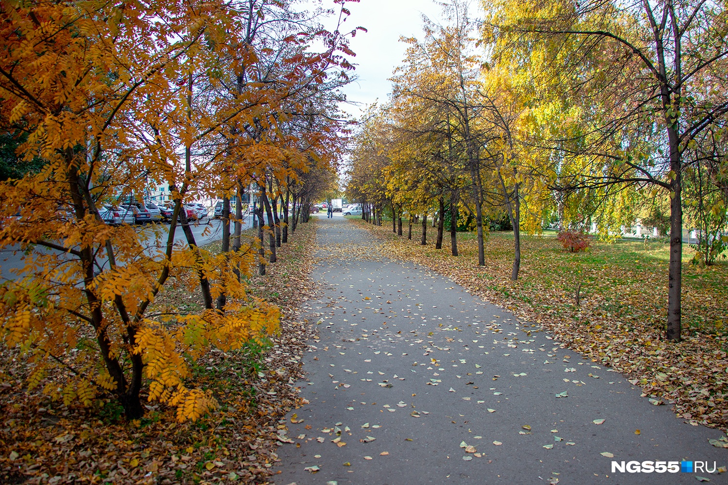 осень в омске фото