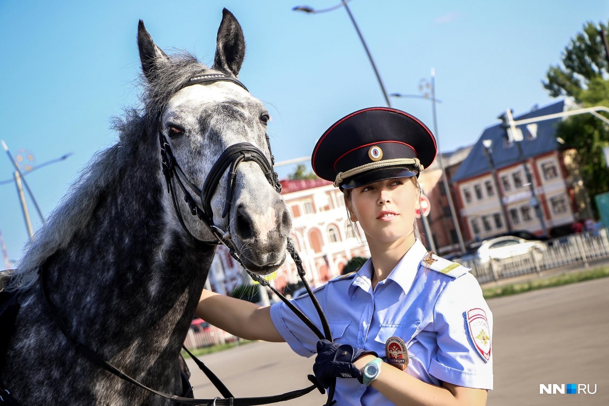 конная полиция в москве