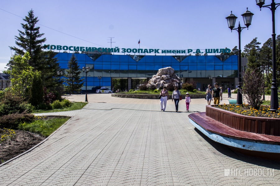 Музыкальные конкурсы новосибирск Музыкальные конкурсы новосибирск