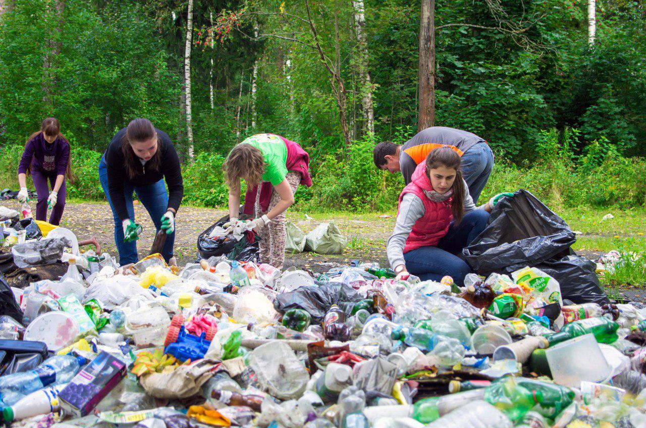 Сортировка мусора в лесу