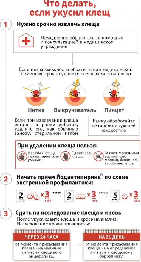 Кто виноват и что делать?