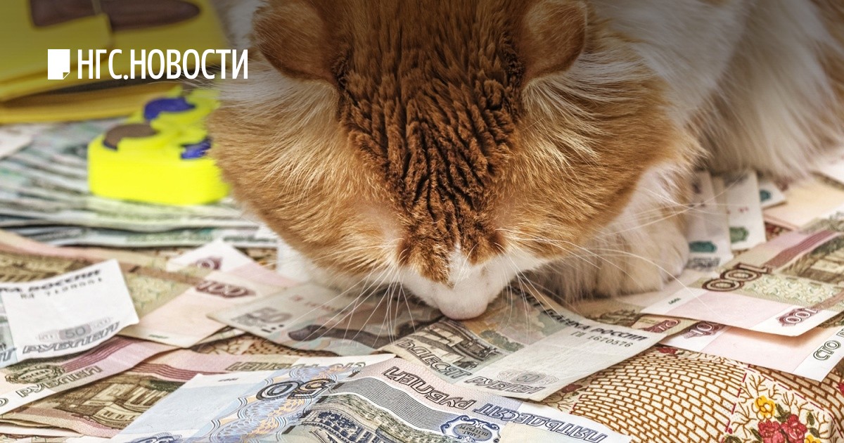 Смотрите - Зарплата учителей 2019 видео Посмотрите - Зарплата учителей 2019 видео