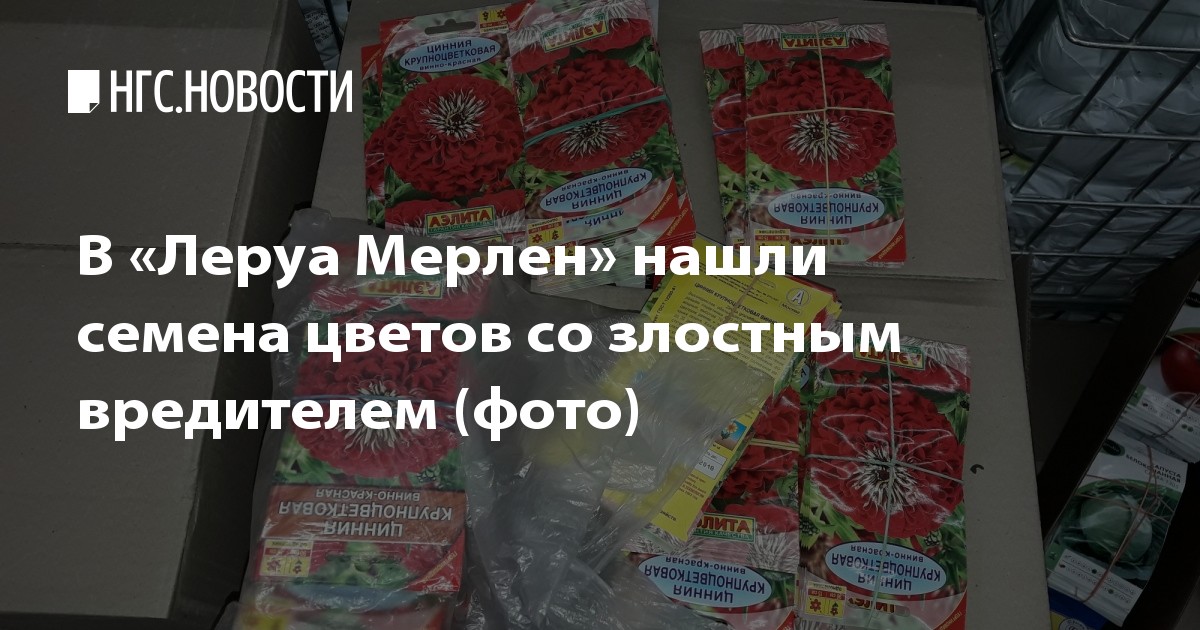 В красноярском Леруа Мерлен продавали опасные семена цветов Растения и семена купить в Москве по низкой. - Леруа Мерлен