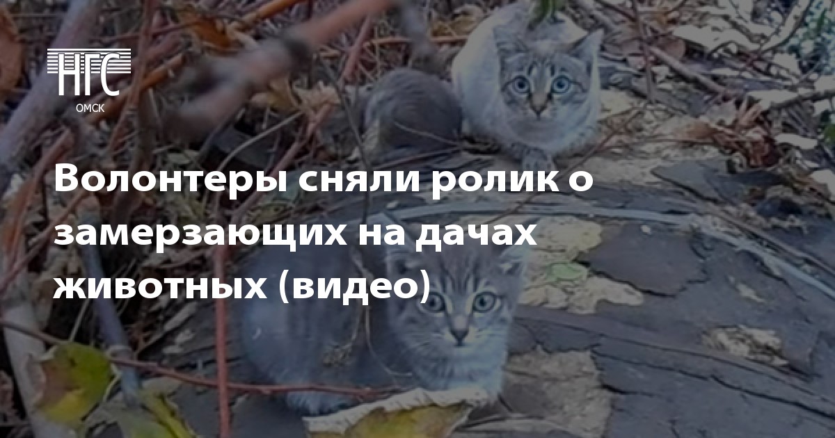 Что нового у судебных приставов в 2018 году Что нового у судебных приставов в 2018 году