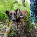 В Новосибирской области люди пропадают каждый день В Новосибирской области люди пропадают каждый день