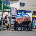 Такие традиционные бочки по линии метро можно найти только у вокзала Новосибирск-Главный, причём сразу две Такие традиционные бочки по линии метро можно найти только у вокзала Новосибирск-Главный, причём сразу две