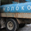 Масло, соответствующее требованиям ГОСТа, оказалось возможным делать из молока только частично Масло, соответствующее требованиям ГОСТа, оказалось возможным делать из молока только частично