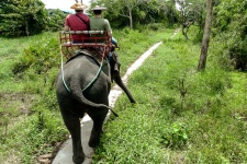 Деревня Слонов (Pattaya Elephant Village)