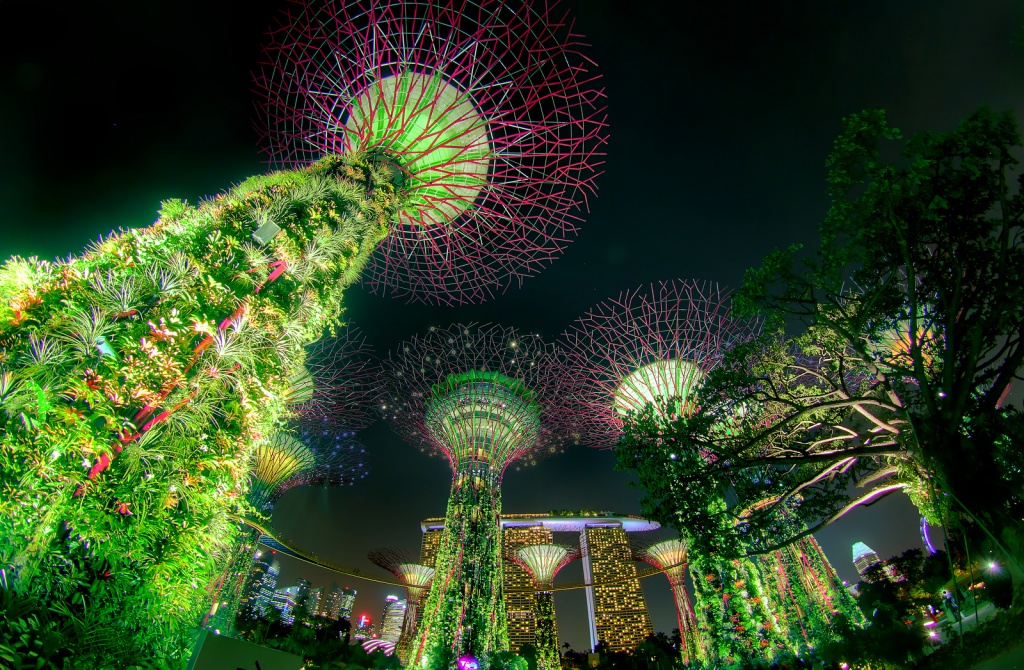 Футуристические сады Сингапура: фото и описание.
