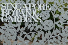 Ботанический сад и парк Орхидей (Singapore Botanic Gardens)