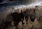 Пещера Алтайская