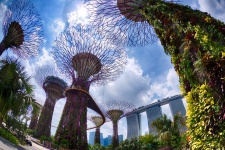 Футуристические сады Сингапура