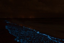 Море Звезд на острове Ваадху