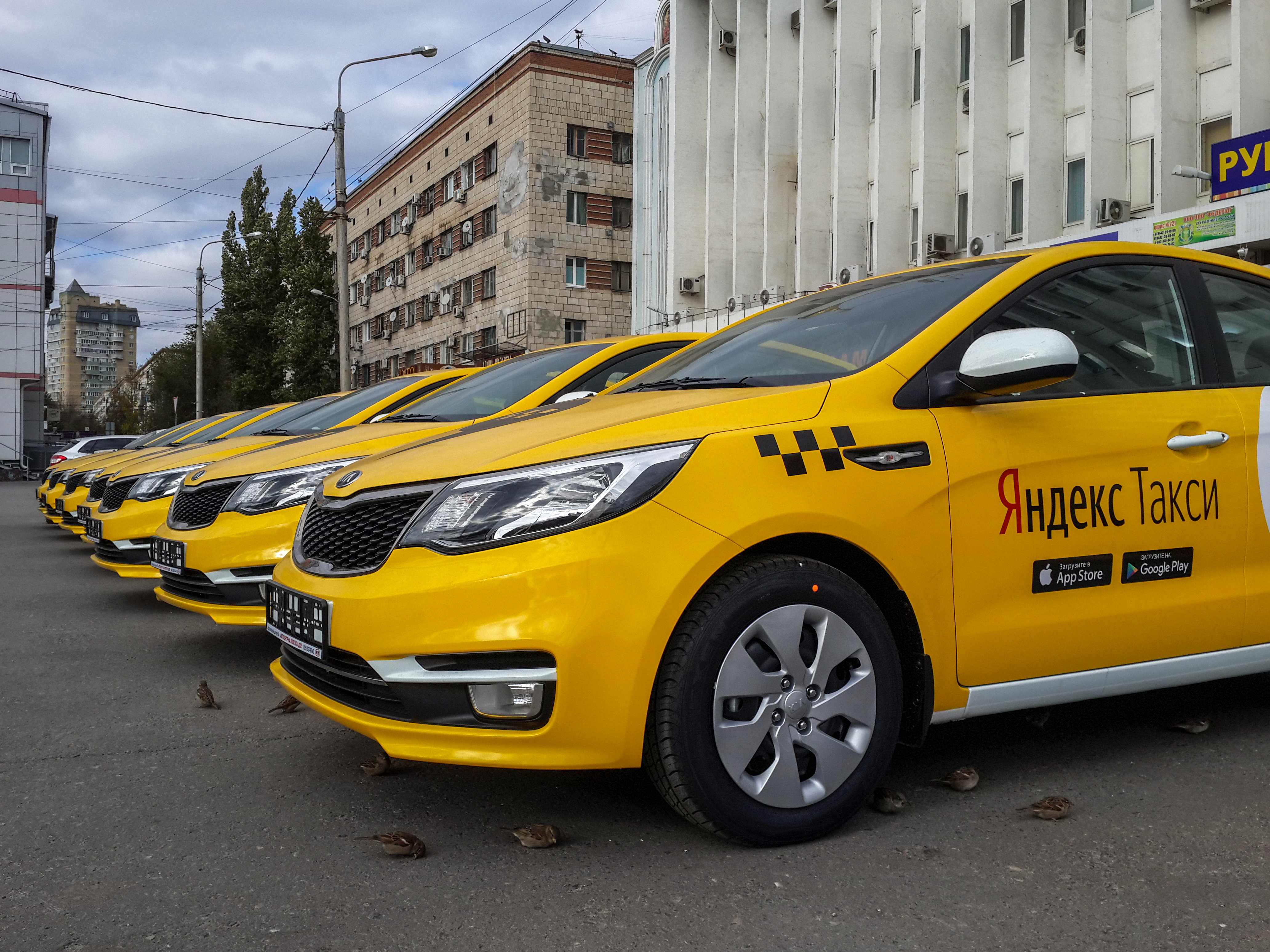 Забастовка таксистов в Волгограде