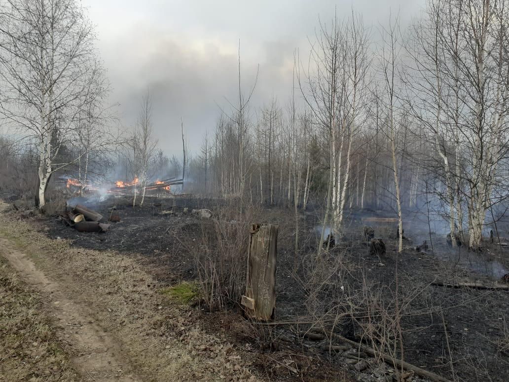 Более 150 участков сгорели в двух садоводствах Братского района