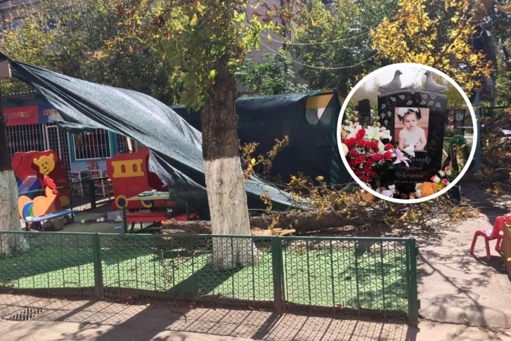 Вике в этом году могло бы исполниться шесть лет Вике в этом году могло бы исполниться шесть лет