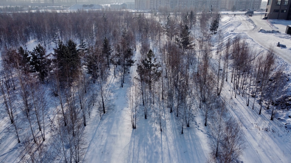 Шершни Челябинск