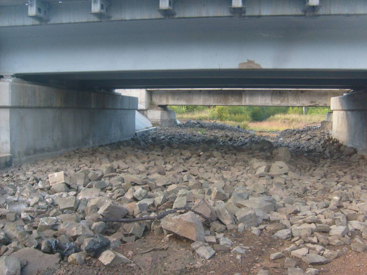 Лесничий в Забайкалье пожаловался на камни под мостом, мешающие работе