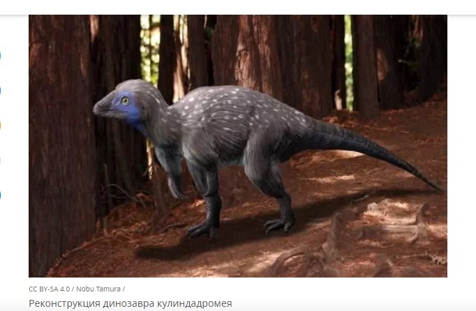 Найденный в Забайкалье динозавр был растительноядным и небольшим