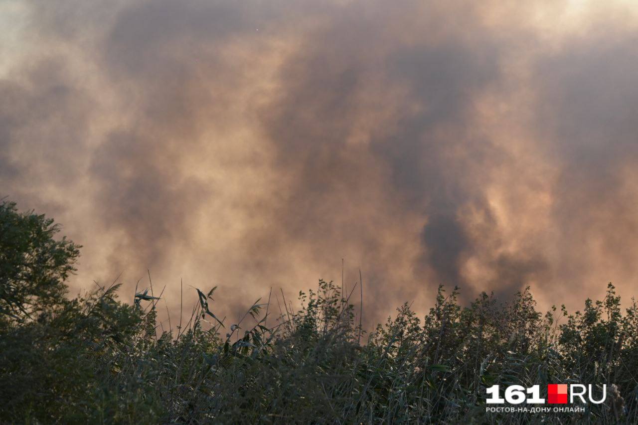 Пожар на левом берегу. Пожар Ростов август 2022. Дым от пожара. Пожар в поле.