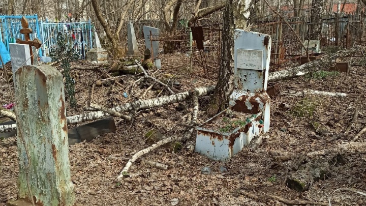 «Там опасно находиться»: жители Ярославля показали, что творится на заброшенном городском кладбище