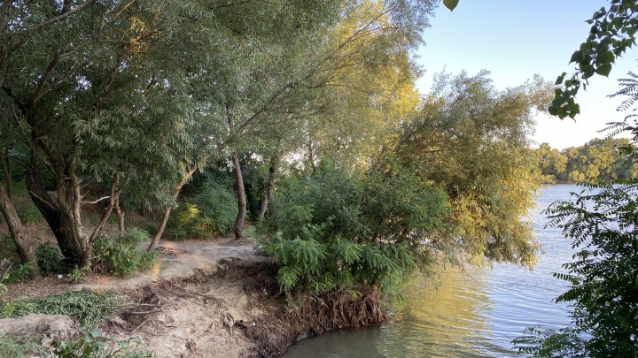 «Это ненормально». В Краснодаре нашли 10 участков у воды, где можно сделать пляжи с зоной отдыха
