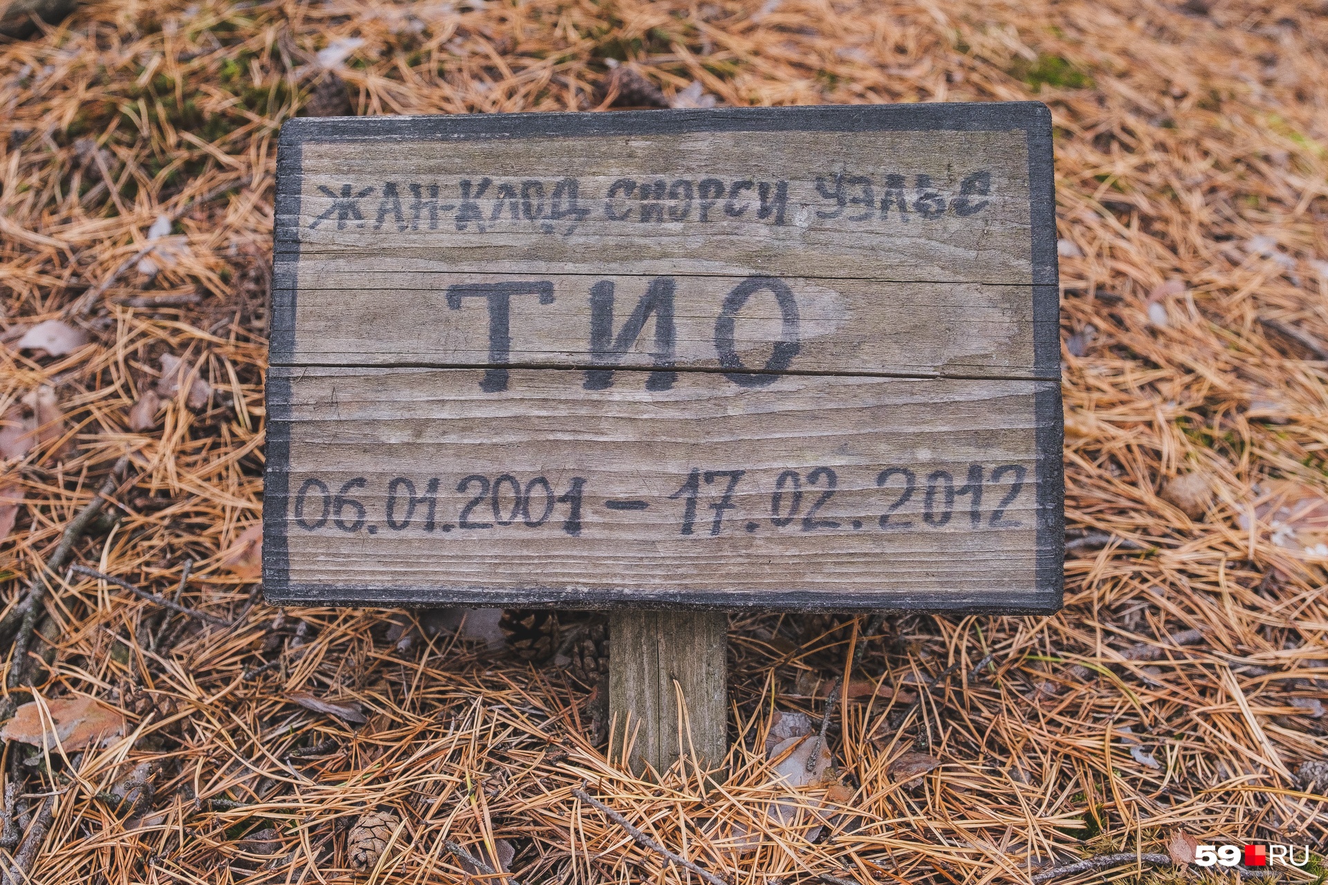 Жан-Клод Сиорси Уэльс Тио, видимо, был породистым питомцем, судя по длине имени Жан-Клод Сиорси Уэльс Тио, видимо, был породистым питомцем, судя по длине имени