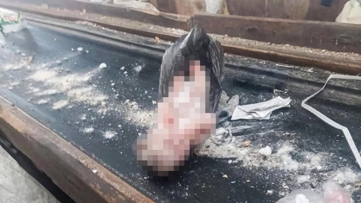 В Башкирии на мусорном заводе нашли мертвого младенца