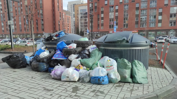 «Не вывозят»: Новосибирск продолжает тонуть в мусоре