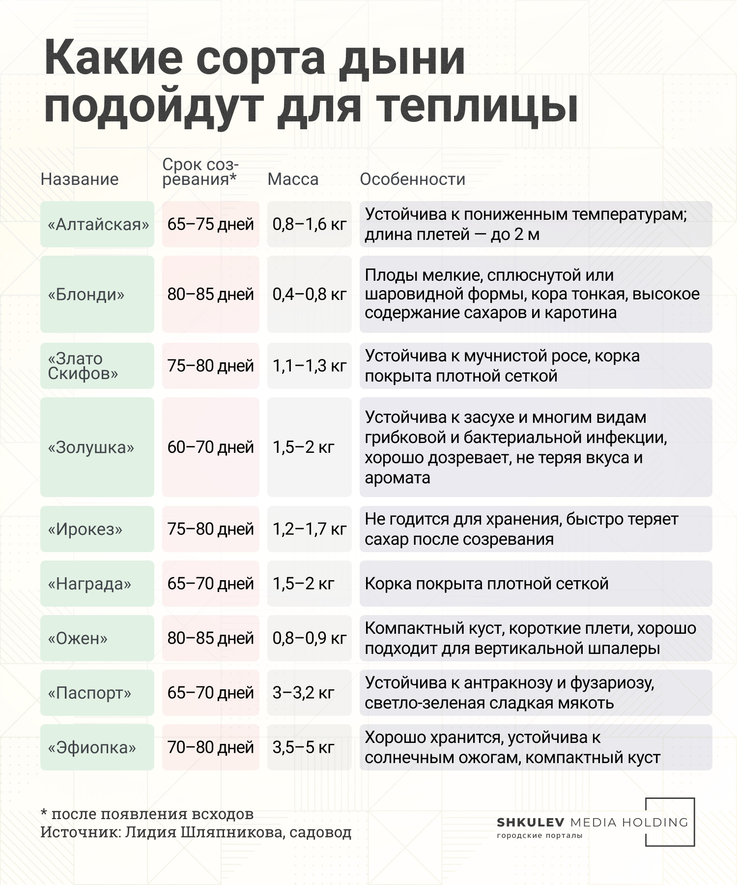 Девять сортов дыни, которые вы можете без проблем вырастить у себя в теплице Девять сортов дыни, которые вы можете без проблем вырастить у себя в теплице