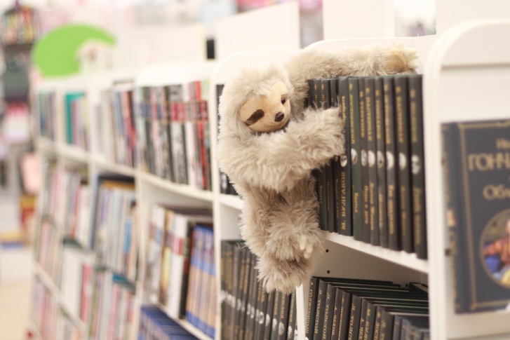 Магазин стал первой точкой федеральной сети книжных в Красноярске