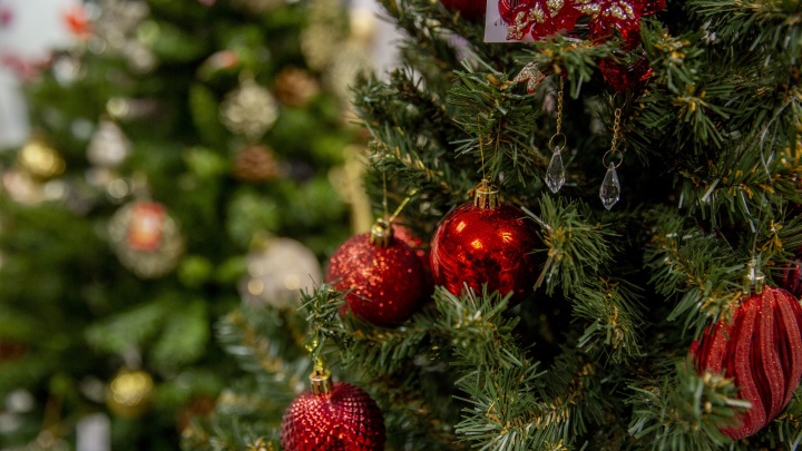 В условиях ковида: власти рассказали, что будет с новогодними елками в садиках и школах