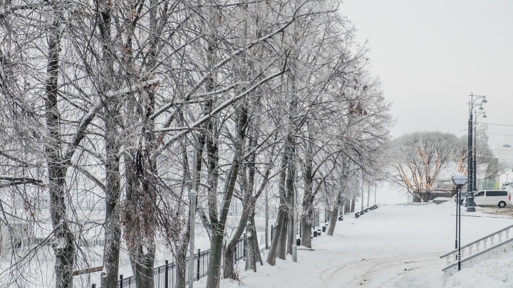 Синоптики рассказали о погоде в Прикамье на предстоящие выходные