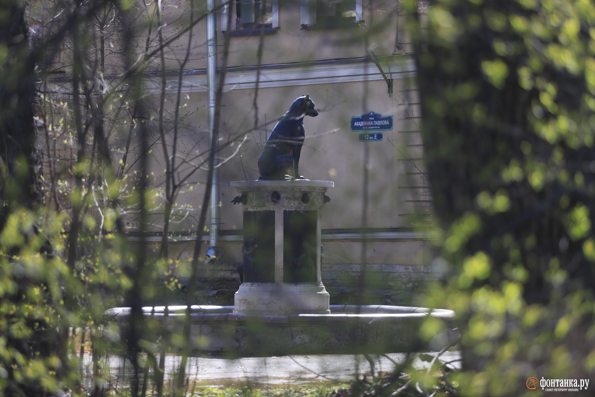 Памятник собаке Павлова