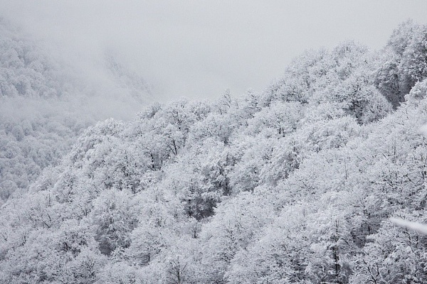 В горных районах Сочи сегодня пойдет снег