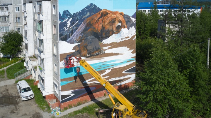 Пять огромных граффити рисуют на пятиэтажках в Новой Чаре в Забайкалье — бурый медведь уже готов