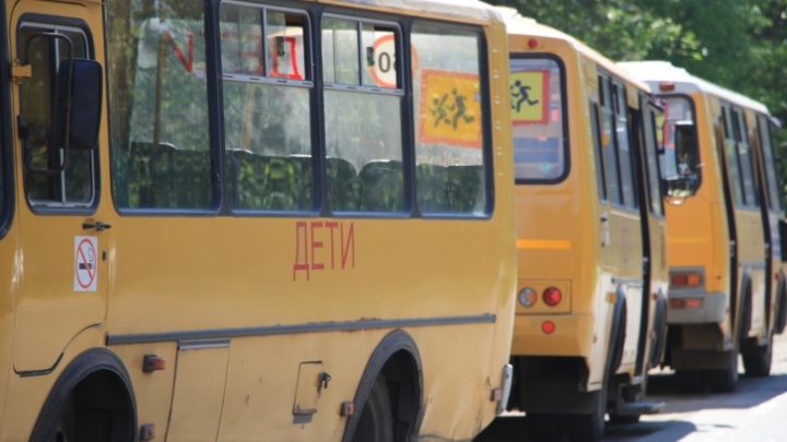 Фирма из Краснодара получила контракт на 183 млн за перевозку школьников, но работала с нарушениями