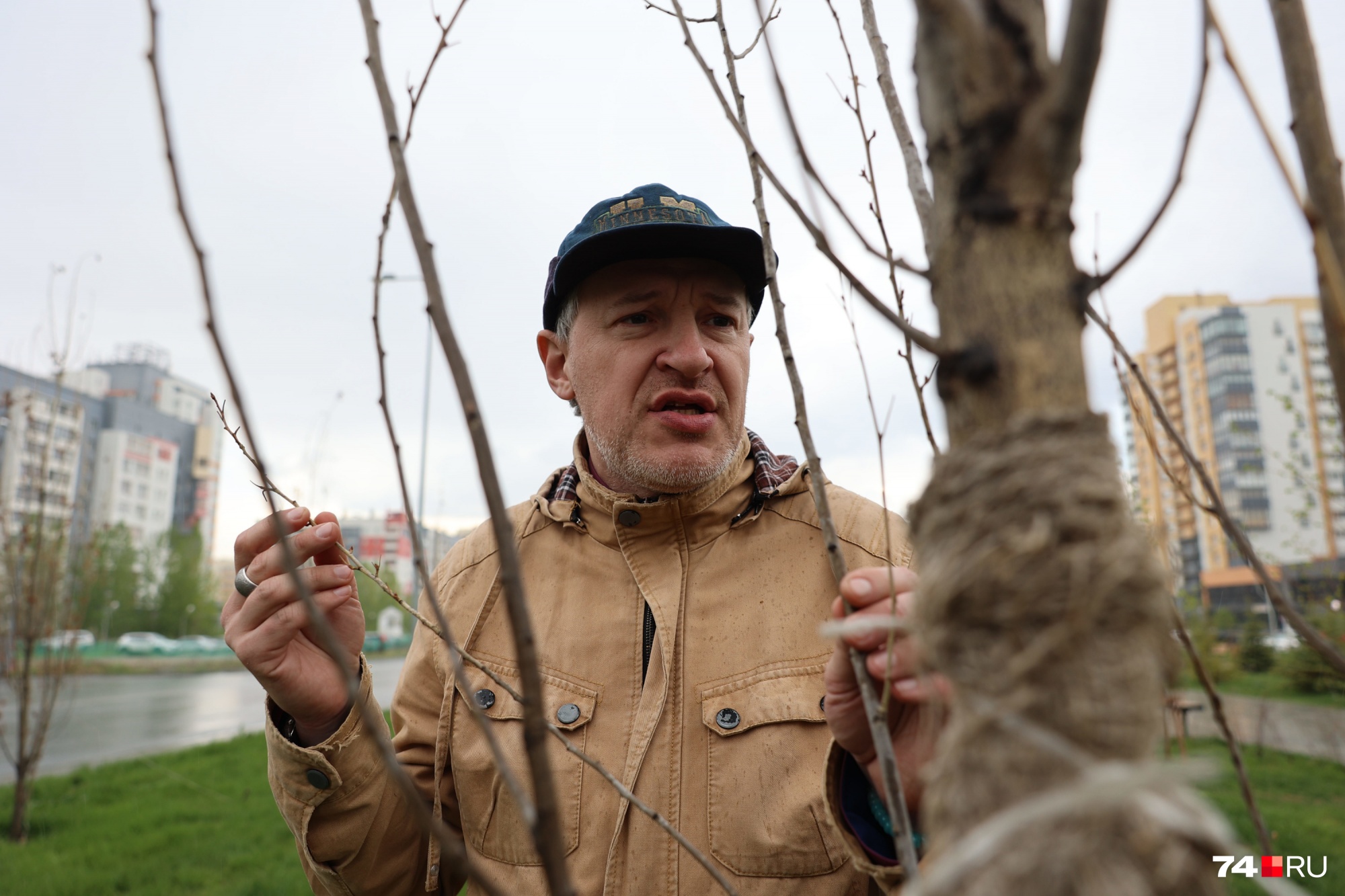 Биолог Павел Попков считает, что деревья усохли, потому что их плохо поливали осенью