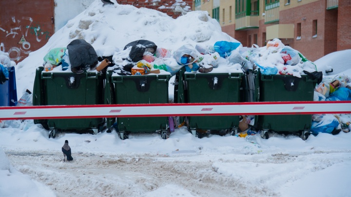 Не вывозят мусор или нужен перерасчет: как связаться с регоператором в Поморье — пять способов